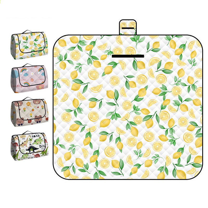 150*200CM Portable Picnic Mat  - Baby Products Moisturizer 评论和价格